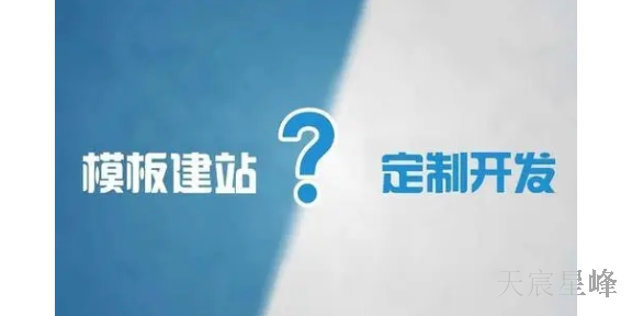 咸阳专业网站建设怎么做 欢迎咨询 陕西天宸星峰信息科技供应