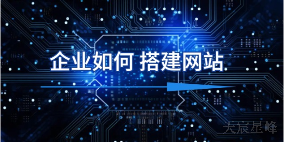陕西网站建设与管理 欢迎咨询 陕西天宸星峰信息科技供应