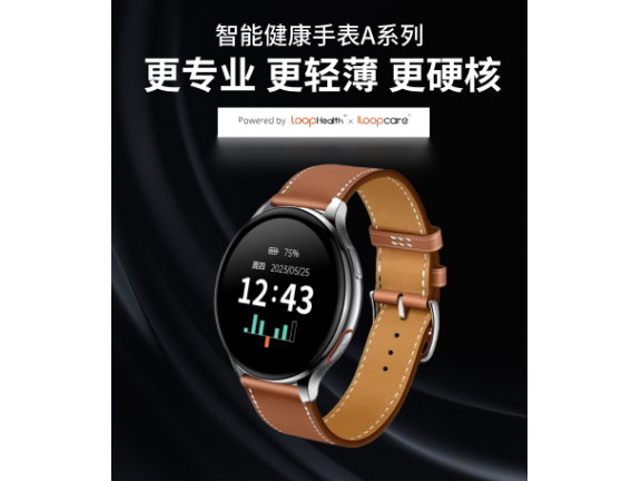 支持通话手表试戴体验 客户至上 深圳启脉科技供应