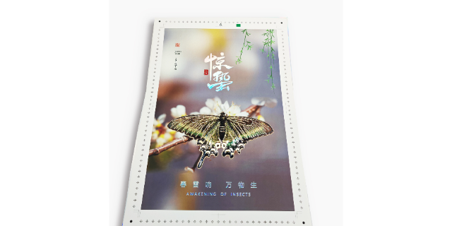 浙江超市海报设计印刷咨询  上海市丽邱缘科技供应
