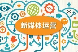 莆田新媒体平台运营推广