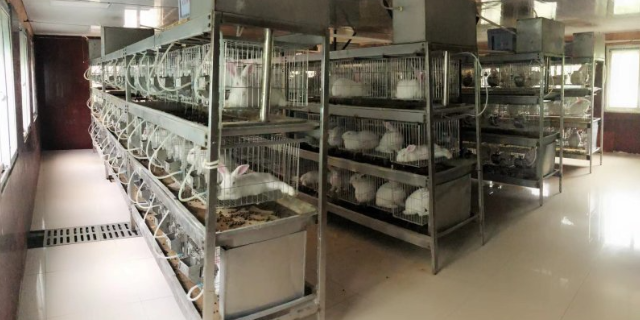 黑龙江正规动物实验公司,动物实验