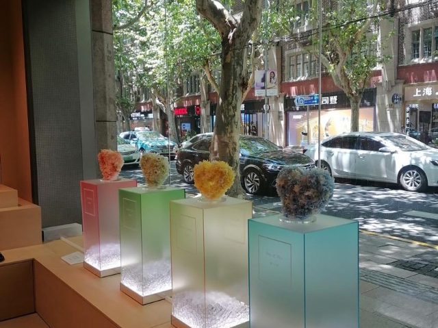 廣東產(chǎn)品櫥窗設(shè)計制作包裝 誠信為本 上海森漾展覽展示供應(yīng)