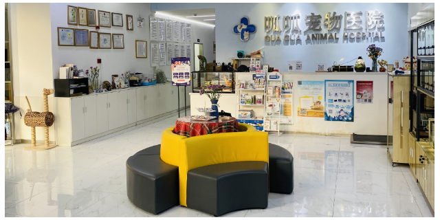 上海小猪萎缩性鼻炎呱呱动物医院 上海佳绮宠物服务医疗供应;