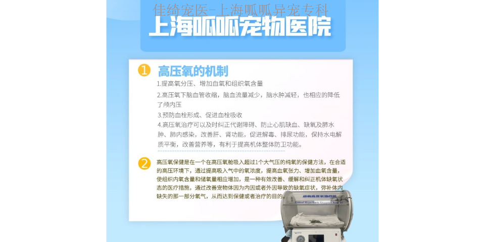 上海乌龟难产呱呱动物医院 上海佳绮宠物服务医疗供应