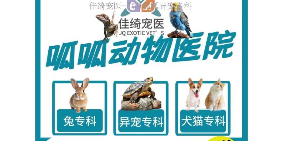 上海异宠院内PCR,宠物医疗