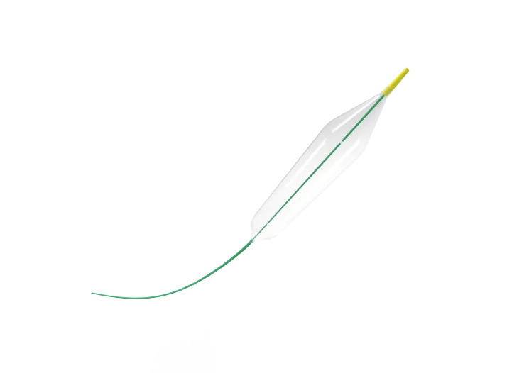 ureteral dilation balloon catheter