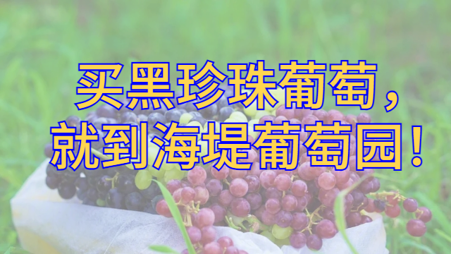 集美区质量葡萄要多少钱