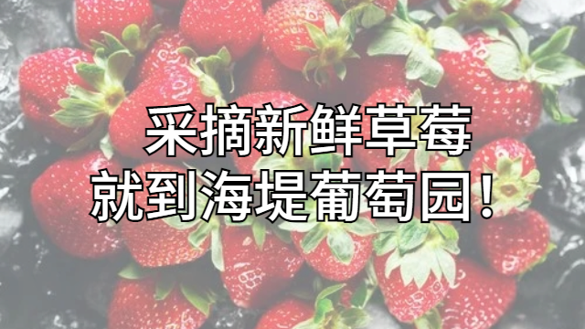翔安区家乡草莓价格咨询