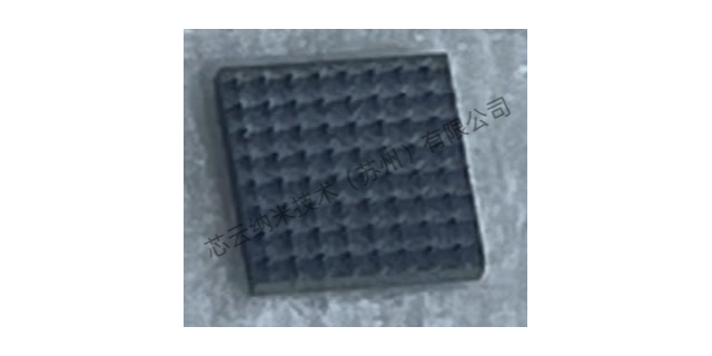 江苏超高晶微针样品 芯云纳米技术供应