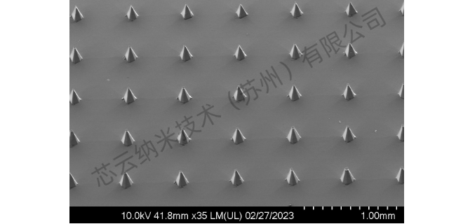 江苏硅基微针研发合作 芯云纳米技术供应