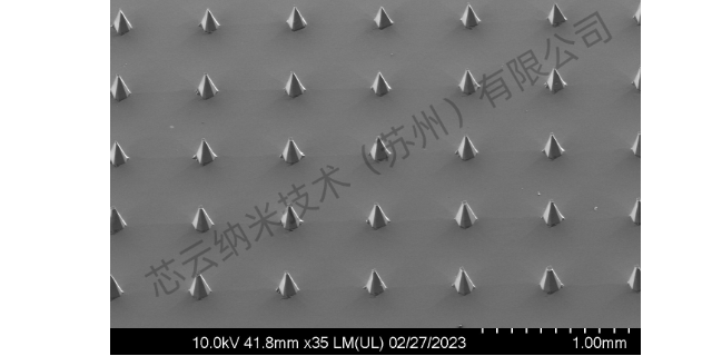 上海微针模具 芯云纳米技术供应;