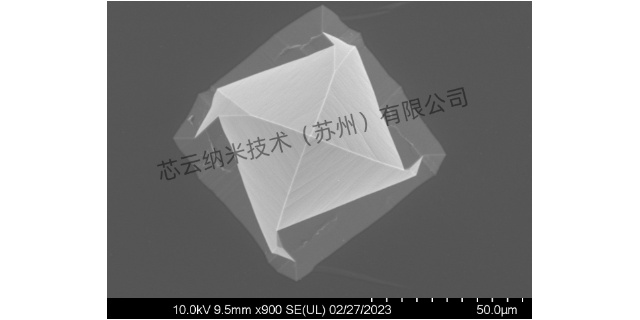 上海硅微针加工制造 芯云纳米技术供应