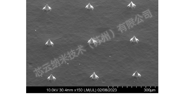 上海固体微针加工制造 芯云纳米技术供应