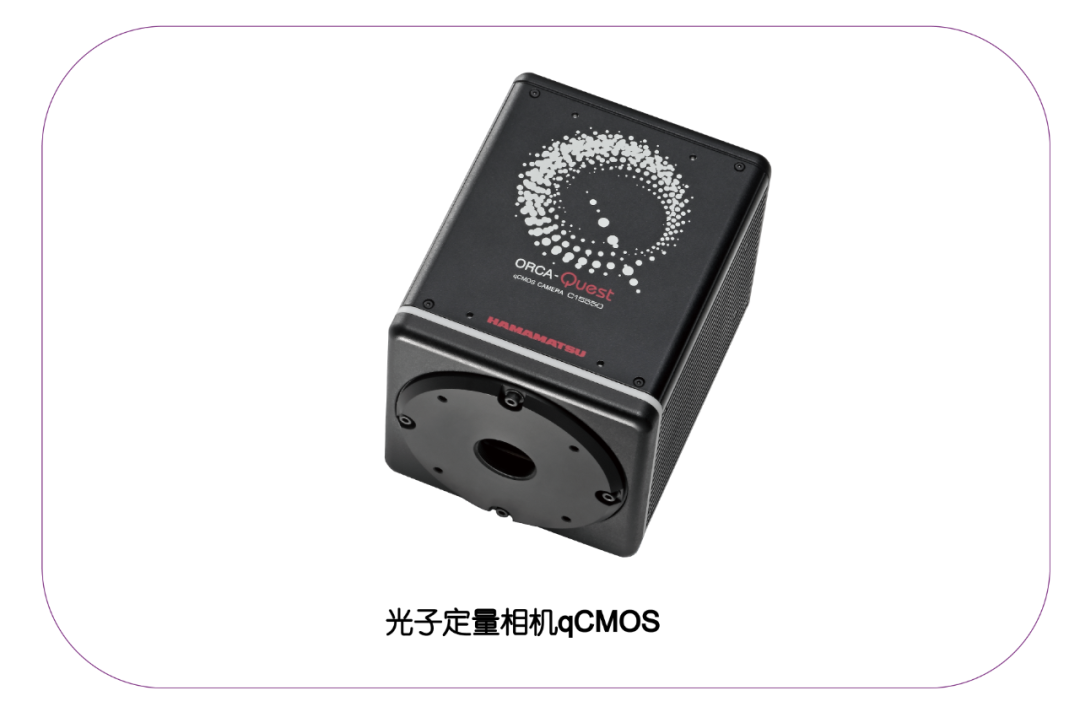 9月6日闪光科技与您相约深圳CIOE光博会！_东方闪光（北京）光电科技有限公司