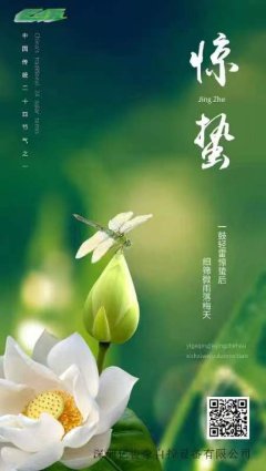 3月5日是二十四節(jié)氣中的驚蟄，早安！