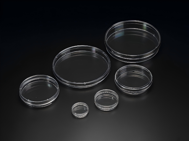 上海植物培养皿SPL生命科学供货商,SPL生命科学