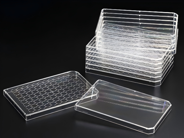 上海三角搖瓶 250mlSPL生命科學(xué)報(bào)價(jià) 歡迎咨詢 上海銘跡科技供應(yīng)