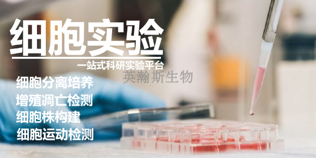 云南推荐的生物外包公司名字,生物外包公司