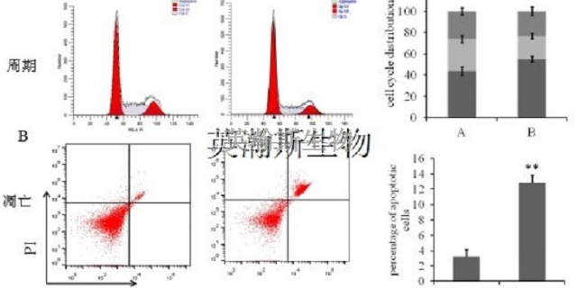 南京市推荐的生物外包公司名字 服务为先 南京英瀚斯生物科技供应