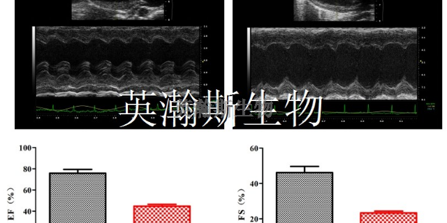 南京比较好的生物外包公司是哪家 服务为先 南京英瀚斯生物科技供应