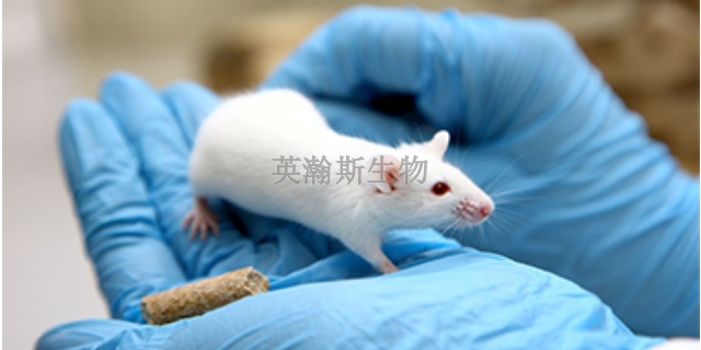 南京有什么生物外包公司有哪些 欢迎咨询 南京英瀚斯生物科技供应