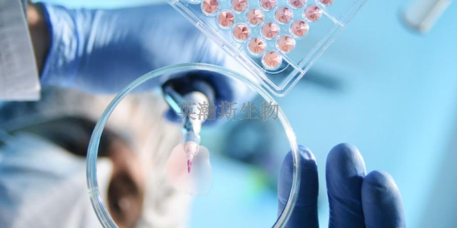 南京比较好的生物外包公司名字 服务为先 南京英瀚斯生物科技供应