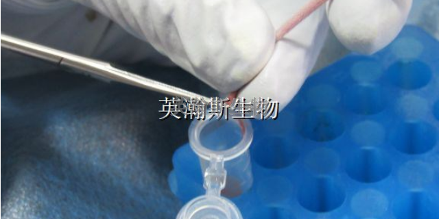 南京有什么生物外包公司 值得信赖 南京英瀚斯生物科技供应