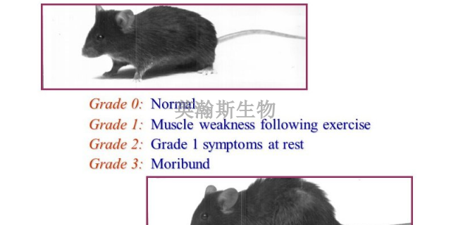 山東專業(yè)的eae模型如何構(gòu)建,eae模型