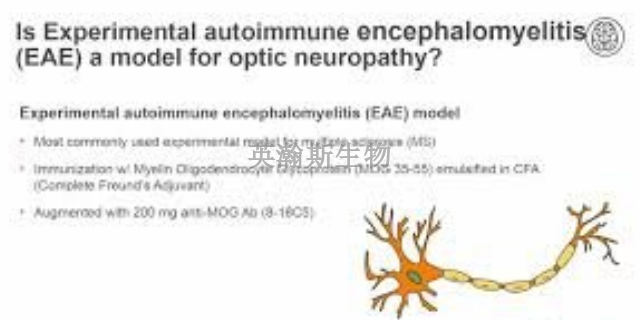 山西专业的eae模型动物实验外包