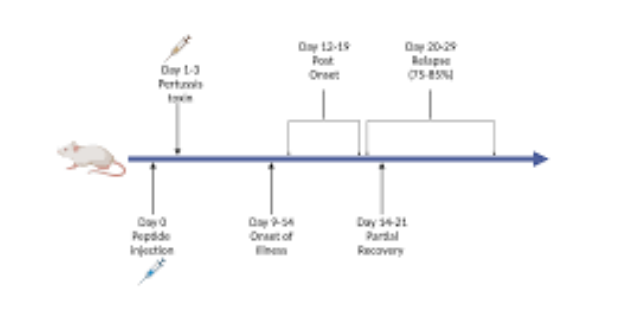 甘肅推薦的eae模型實驗外包 來電咨詢 南京英瀚斯生物科技供應(yīng)
