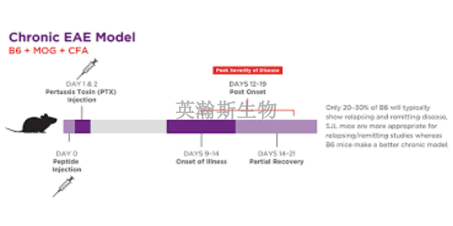 四川專業(yè)的eae模型有哪家,eae模型