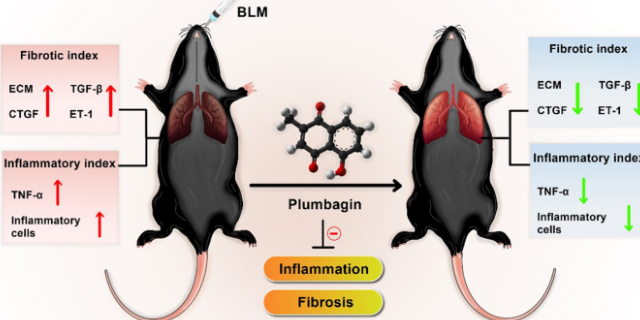 廣西專業(yè)的肺纖維化模型是哪家 值得信賴 南京英瀚斯生物科技供應(yīng)