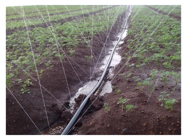 河北水肥一体灌溉解决方案