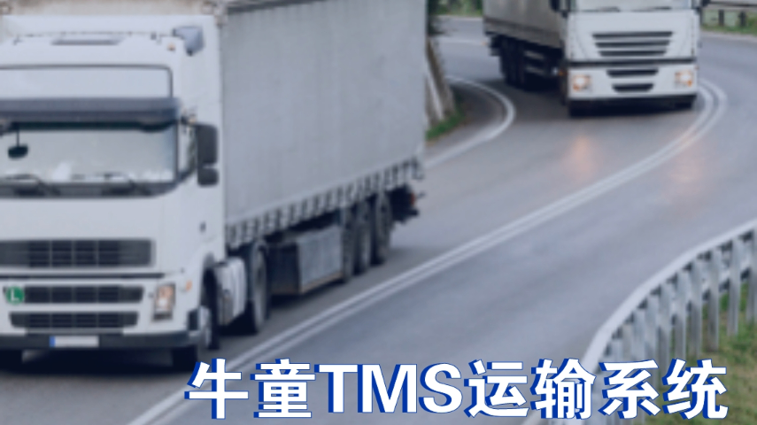 快消TMS車隊運(yùn)輸管理系統(tǒng),TMS