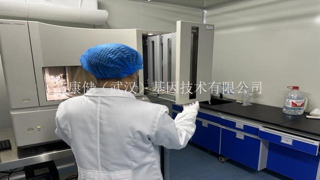 基因組DNA長沙菌種鑒定質量好,sanger測序