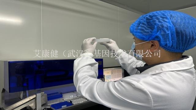 平板荊門菌種鑒定PCR 反應體系,sanger測序