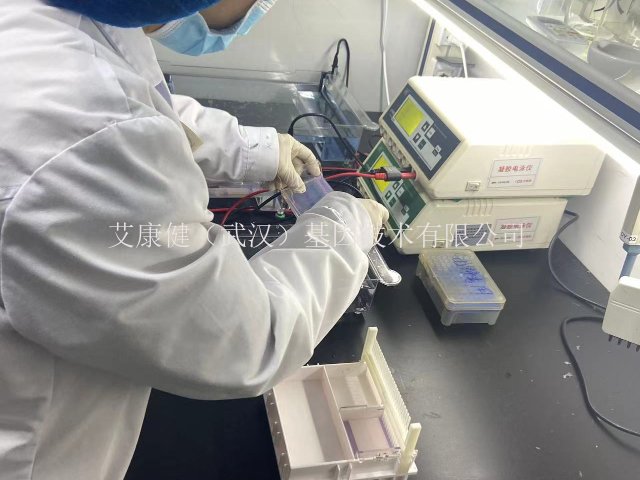 武汉植物组织高通量测序数据安全和隐私 艾康健（武汉）基因技术供应