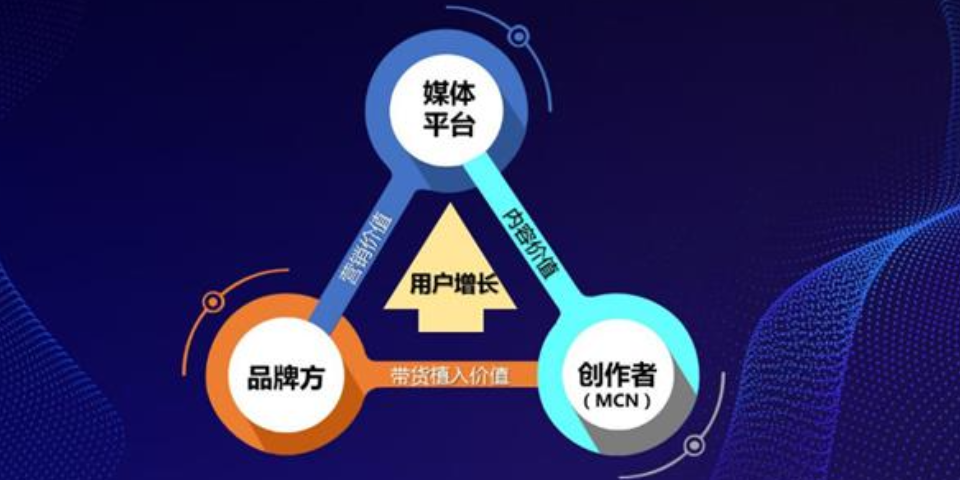 推广短视频营销是什么