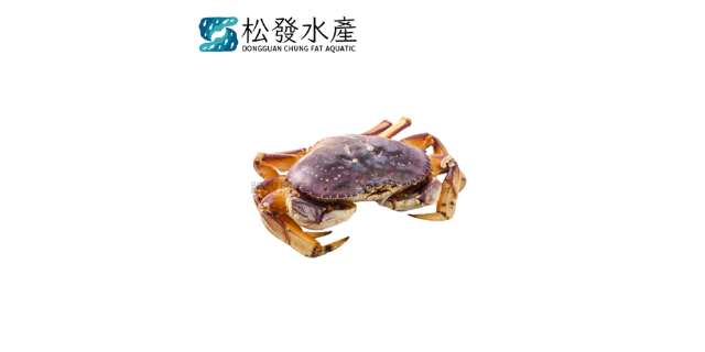 惠州帝皇蟹海鲜供应