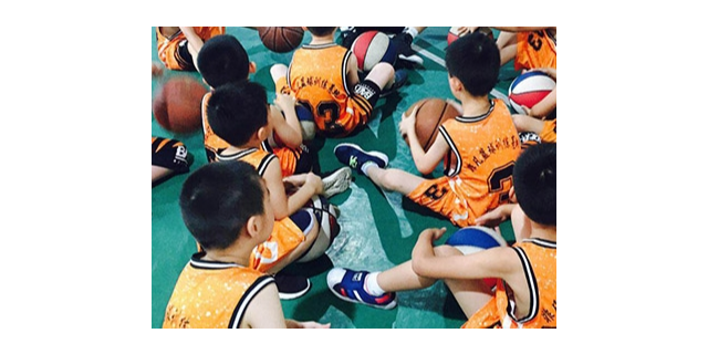 上海哪里有青少年体育培训批量定制