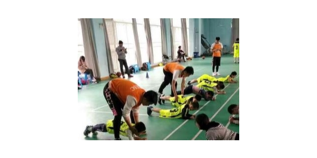 青浦区本地青少年体育培训批量定制