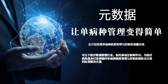 濟(jì)南單病種 山東元數(shù)據(jù)信息科技供應(yīng)