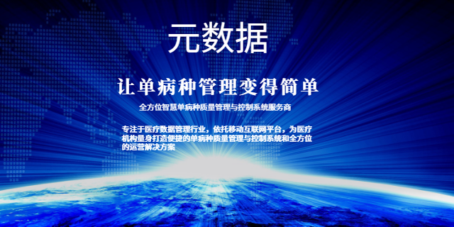濟(jì)南單病種 山東元數(shù)據(jù)信息科技供應(yīng)