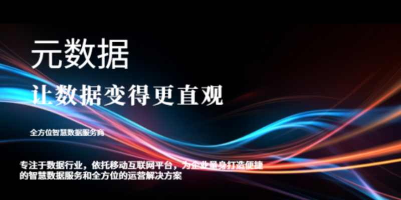 廣東數(shù)據(jù)互聯(lián)網(wǎng)醫(yī)院 山東元數(shù)據(jù)信息科技供應(yīng)