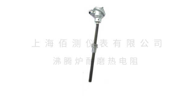 西藏装配式热电阻品牌 上海佰测仪表供应
