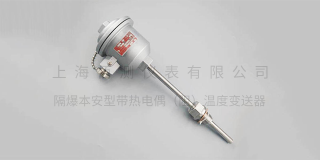 广西隔爆本安型带热电偶温度变送器厂家 上海佰测仪表供应