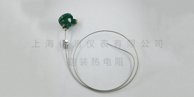 西藏轴承热电阻品牌 上海佰测仪表供应;