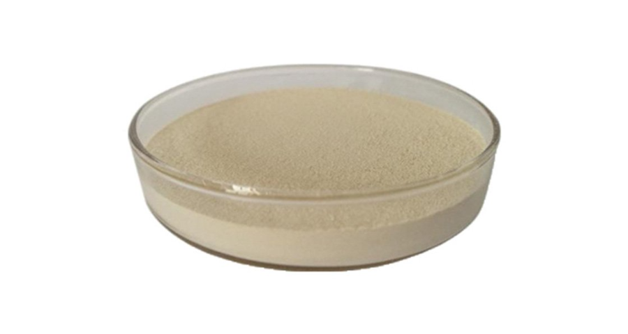 廣東評價高的尿石素a供應商 西安博孚生物科技供應