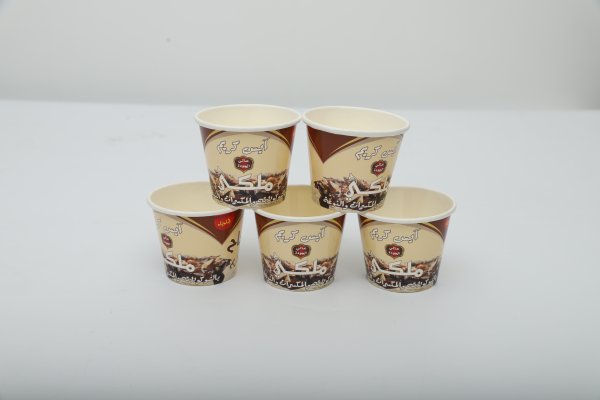  195ml(6.5oz)冰淇淋纸杯